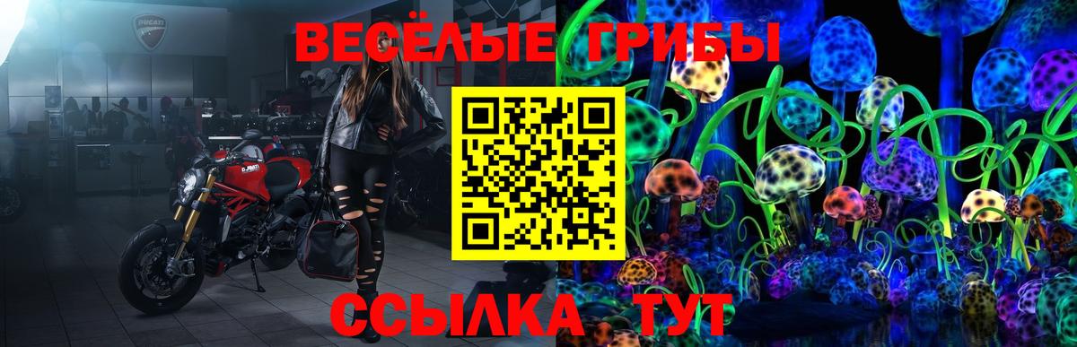 Новосибирск  Псилоцибиновые грибы MAGIC MUSHROOMS  Вход с VPN 